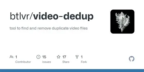 The Problem of Duplicate Video Files