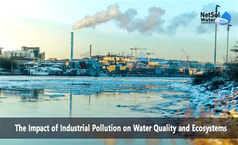 The Problem of Industrial Waste