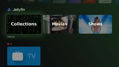 The Problem with Default Jellyfin