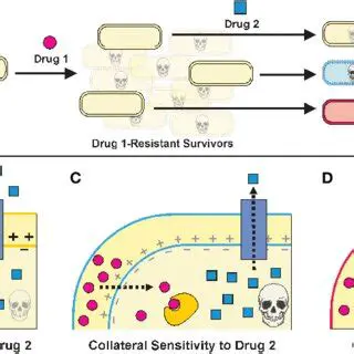 The Problem with Sequential Cycling