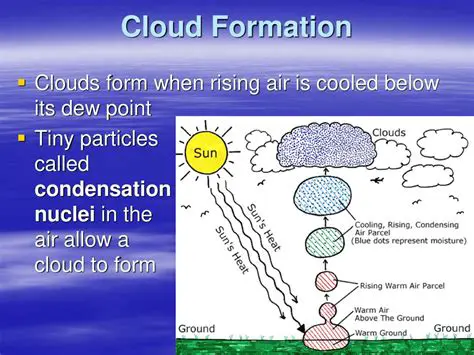 The Process of Cooling and Dew Formation