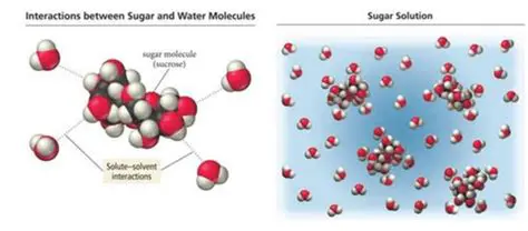 The Process of Dissolving Sugar in Water