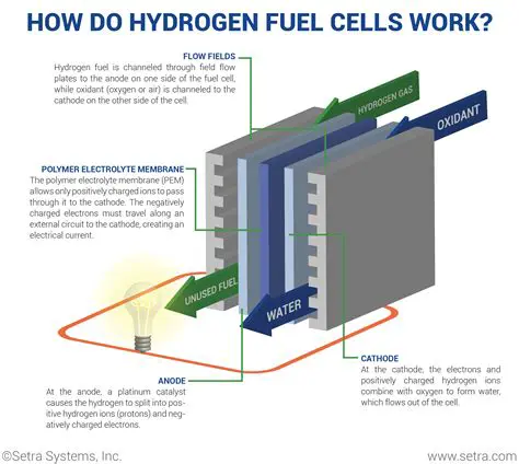 The Process of Hydrogen Fuel Cells