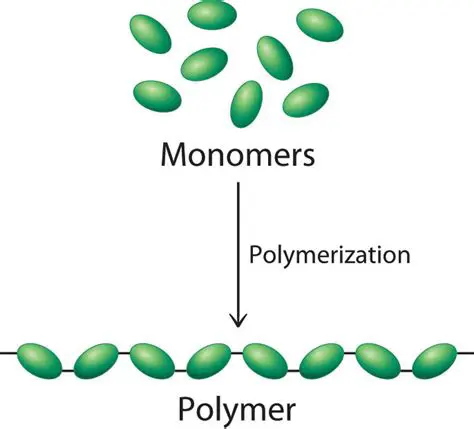 The Process of Polymer Formation