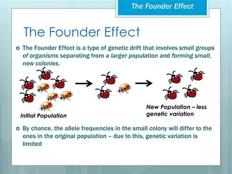 The Process of the Founder Effect