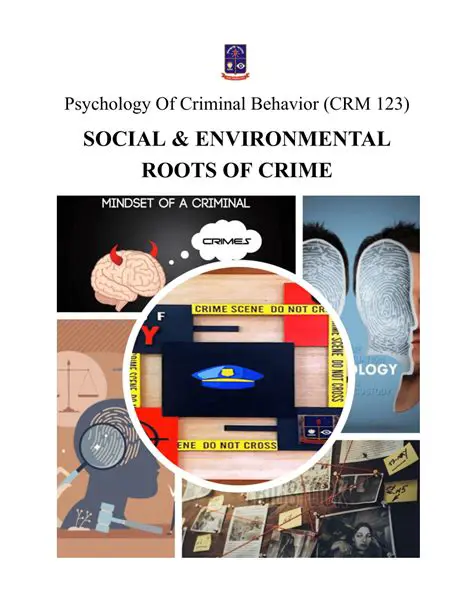 The Psychology of Crime and Concealment