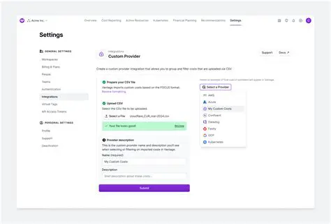 The Purpose of Custom Providers