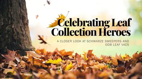 The Purpose of Leaf Collection