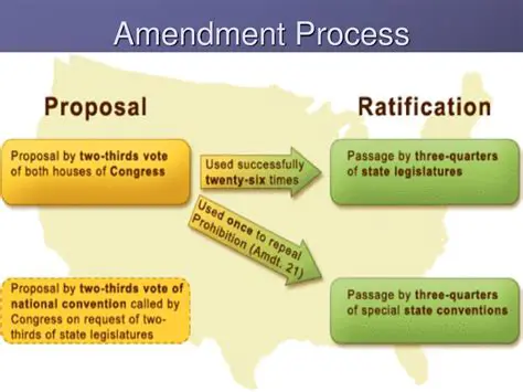 The Purpose of the Amendment Process
