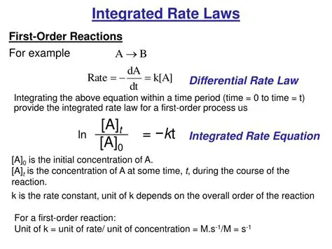 The Rate Law and Its Components