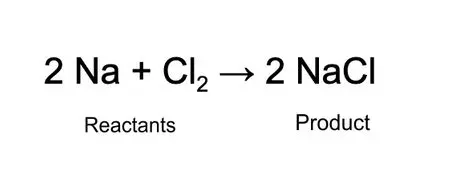 The Reactants in Salt Production