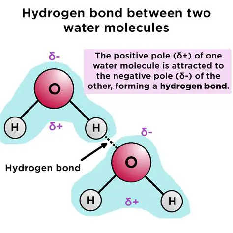 The Reaction Between Water Molecules