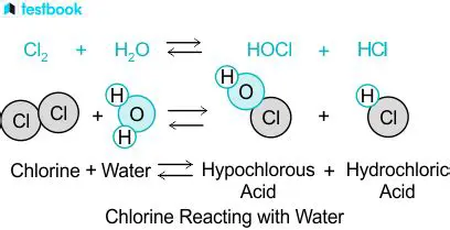 The Reaction of Chlorine and Water
