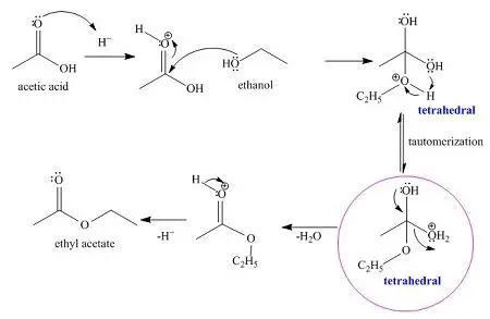 The Reaction of Ethanol and Acetic Acid