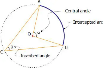The Relationship Between Central and Inscribed Angles