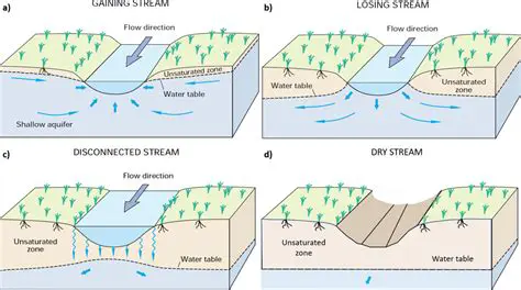 The Relationship Between Groundwater and Streams