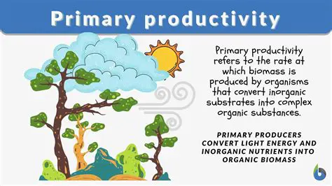 The Relationship Between Primary Productivity and Water Environment Conditions in Lake Toba