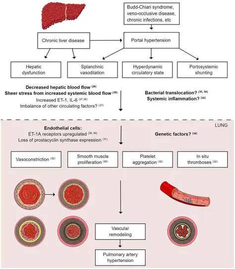 The Relationship Between Serum Laminin Levels and the Severity of Liver Cirrhosis