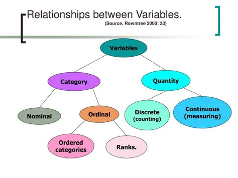 The Relationships Between the Variables