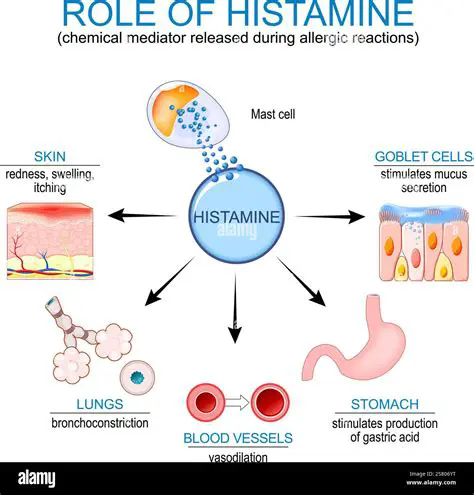 The Release of Histamine and Other Chemical Mediators