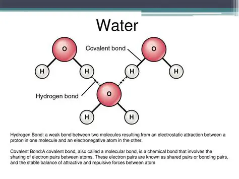 The Repulsive Forces Between Water Molecules
