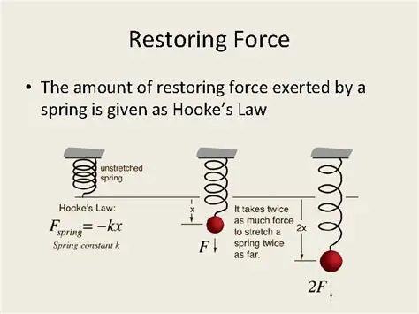 The Restoring Force of a Spring
