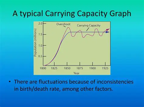 The Results of Carrying Capacity Analysis