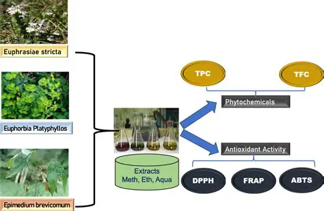 The Rich Phytochemical Profile of Tanoh Pugun Leaves