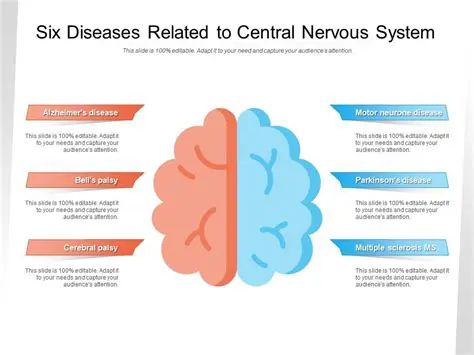 The Risks of Central Nervous System Failure