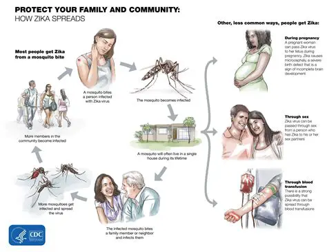 The Risks of Zika Infection