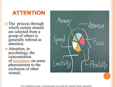 The Role of Attention in Problem Behavior