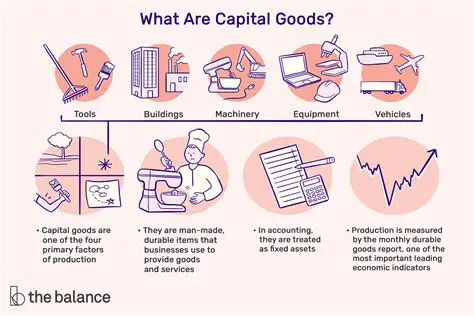 The Role of Capital Goods in Production