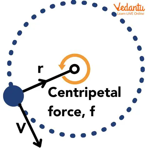 The Role of Centripetal Force