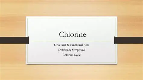 The Role of Chlorine and Bromine Oxides in Ozone Chemistry