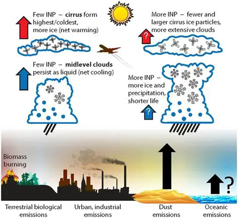 The Role of Clouds in Precipitation