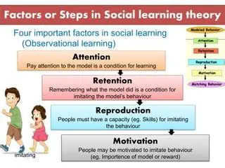 The Role of Cognitive Factors in Social Learning