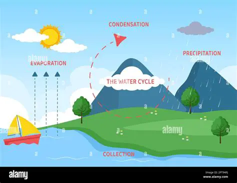 The Role of Condensation in the Water Cycle