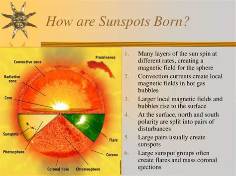 The Role of Convection in Sunspots