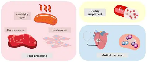 The Role of Dietary Supplements in Our Diet
