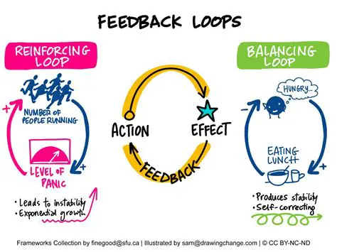 The Role of Feedback Loops