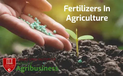 The Role of Fertilizers in Swidden Cultivation
