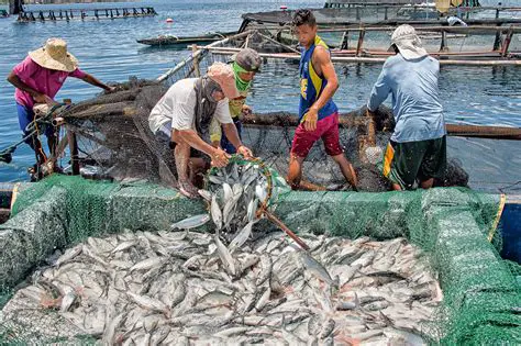The Role of Fishermen in Supporting Culinary Tourism