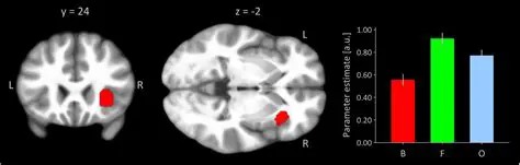 The Role of fMRI in Studying Sexual Arousal