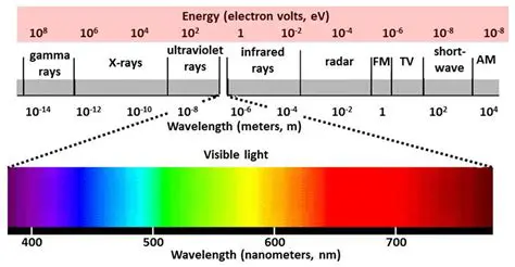 The Role of Frequency and Wavelength