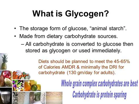 The Role of Glycogen in Carbohydrate Storage