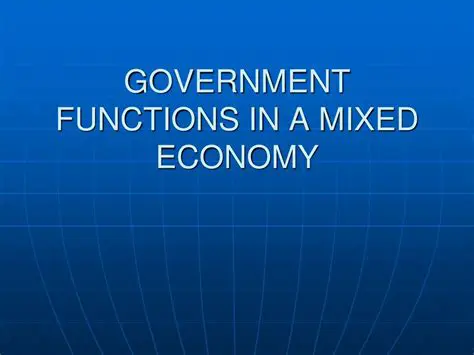 The Role of Government in a Mixed Economy