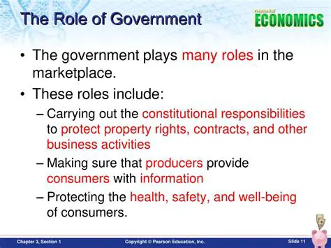 The Role of Government in Asset Management