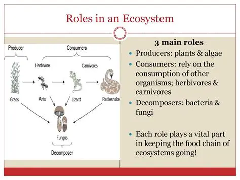 The Role of Herbivores in Ecosystems