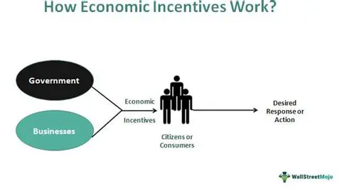 The Role of Incentive in Economic Systems