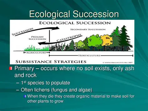 The Role of Lichens in Ecological Succession